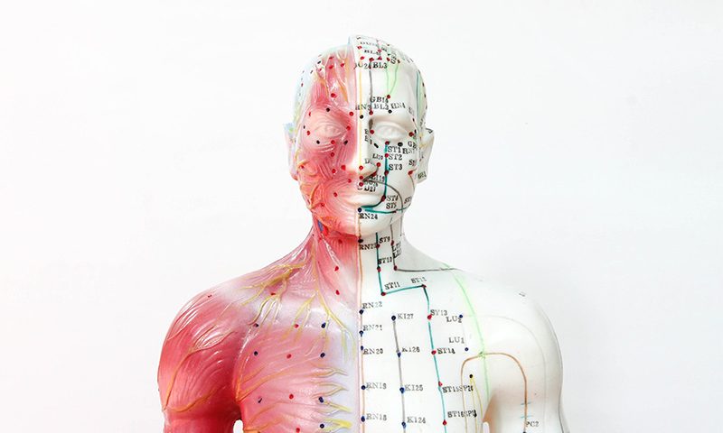 body-meridians-energy-flows-800x480